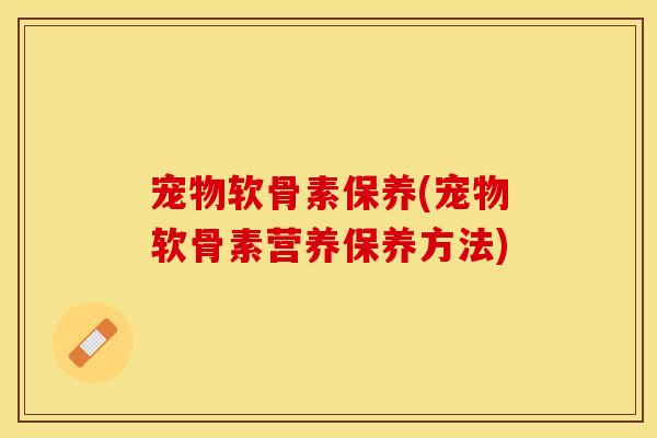 宠物软骨素保养(宠物软骨素营养保养方法)-第1张图片-关节保镖