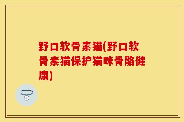 野口软骨素猫(野口软骨素猫保护猫咪骨骼健康)-第1张图片-关节保镖