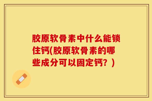 胶原软骨素中什么能锁住钙(胶原软骨素的哪些成分可以固定钙？)
