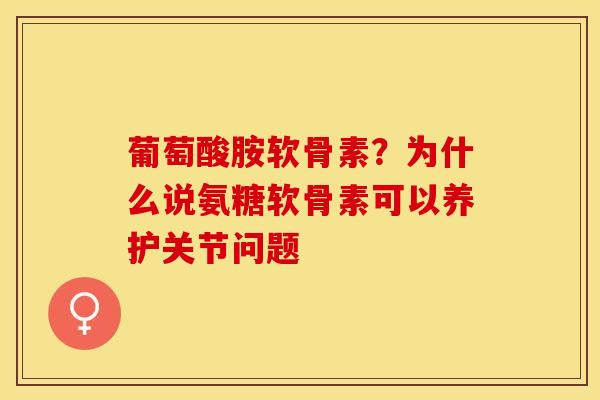 葡萄酸胺软骨素？为什么说氨糖软骨素可以养护关节问题-第1张图片-关节保镖