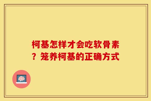 柯基怎样才会吃软骨素？笼养柯基的正确方式-第1张图片-关节保镖