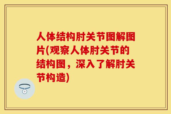 人体结构肘关节图解图片(观察人体肘关节的结构图，深入了解肘关节构造)-第1张图片-关节保镖