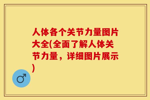 人体各个关节力量图片大全(全面了解人体关节力量，详细图片展示)-第1张图片-关节保镖