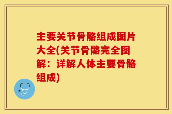 主要关节骨骼组成图片大全(关节骨骼完全图解：详解人体主要骨骼组成)-第1张图片-关节保镖