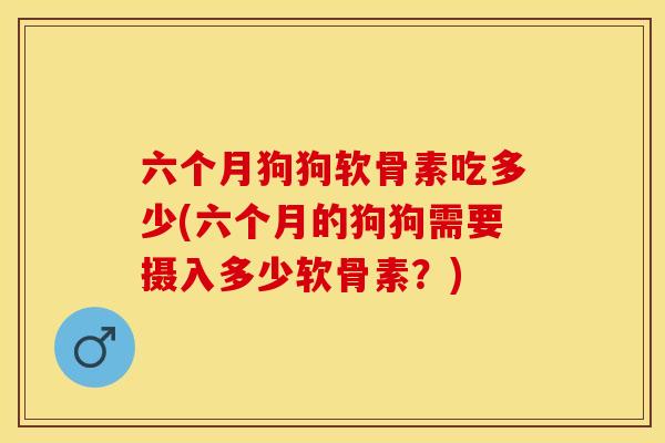六个月狗狗软骨素吃多少(六个月的狗狗需要摄入多少软骨素？)-第1张图片-关节保镖