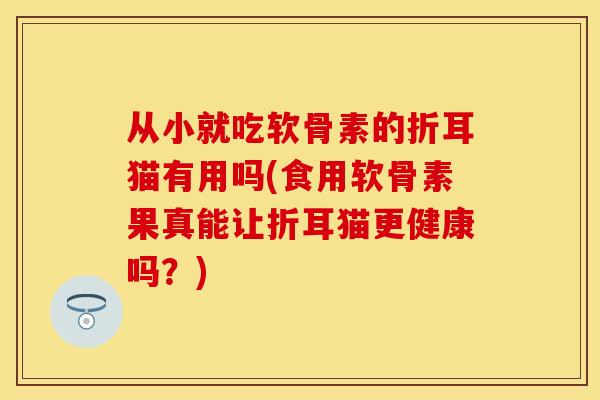 从小就吃软骨素的折耳猫有用吗(食用软骨素果真能让折耳猫更健康吗？)-第1张图片-关节保镖
