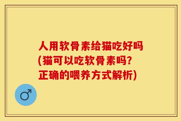人用软骨素给猫吃好吗(猫可以吃软骨素吗？正确的喂养方式解析)-第1张图片-关节保镖