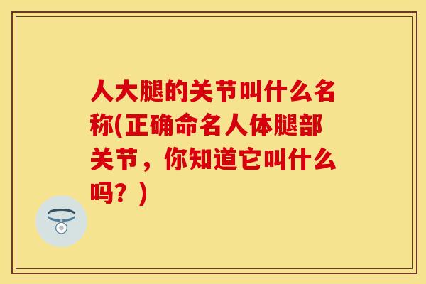 人大腿的关节叫什么名称(正确命名人体腿部关节，你知道它叫什么吗？)-第1张图片-关节保镖