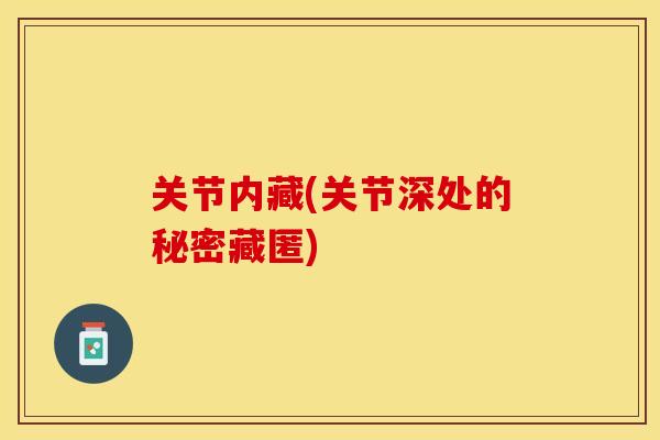 关节内藏(关节深处的秘密藏匿)-第1张图片-关节保镖