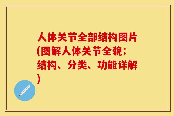 人体关节全部结构图片(图解人体关节全貌：结构	、分类、功能详解)-第1张图片-关节保镖