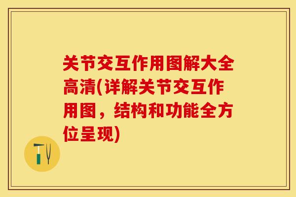 关节交互作用图解大全高清(详解关节交互作用图，结构和功能全方位呈现)-第1张图片-关节保镖