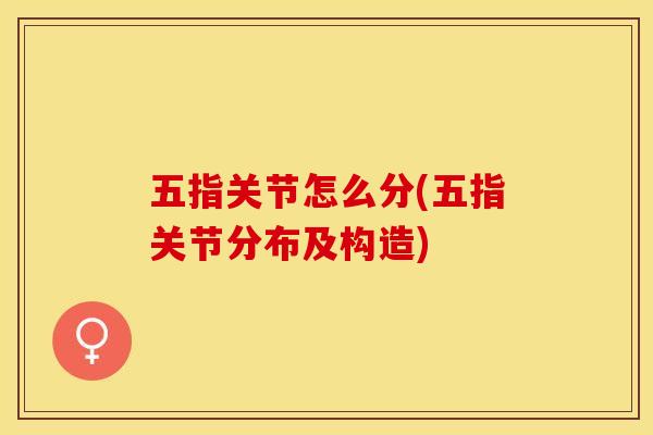 五指关节怎么分(五指关节分布及构造)
