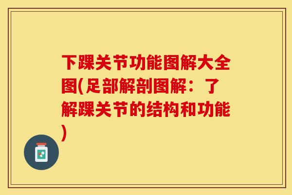 下踝关节功能图解大全图(足部解剖图解：了解踝关节的结构和功能)-第1张图片-关节保镖