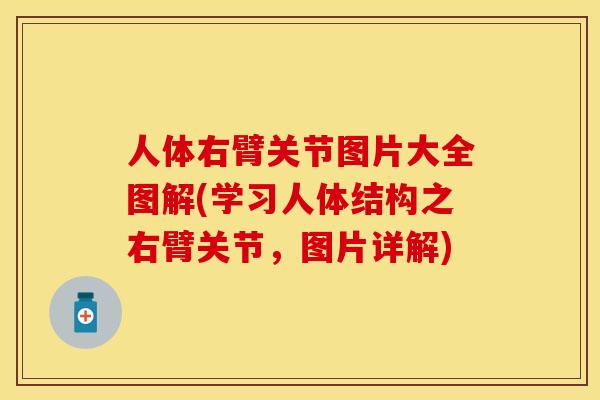 人体右臂关节图片大全图解(学习人体结构之右臂关节，图片详解)-第1张图片-关节保镖