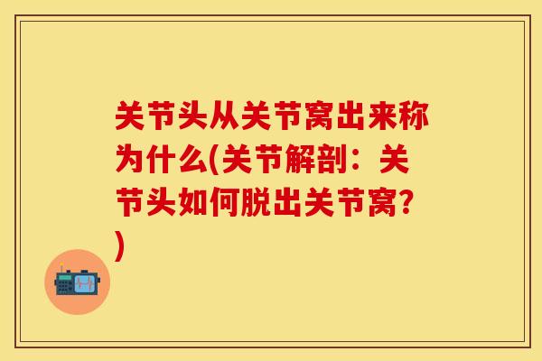 关节头从关节窝出来称为什么(关节解剖：关节头如何脱出关节窝？)-第1张图片-关节保镖