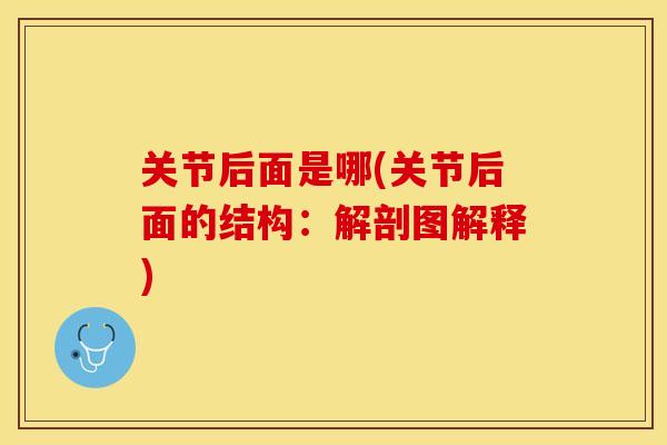 关节后面是哪(关节后面的结构：解剖图解释)-第1张图片-关节保镖