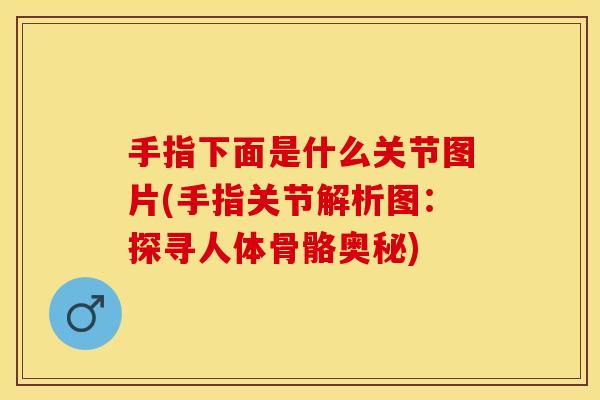 手指下面是什么关节图片(手指关节解析图：探寻人体骨骼奥秘)-第1张图片-关节保镖