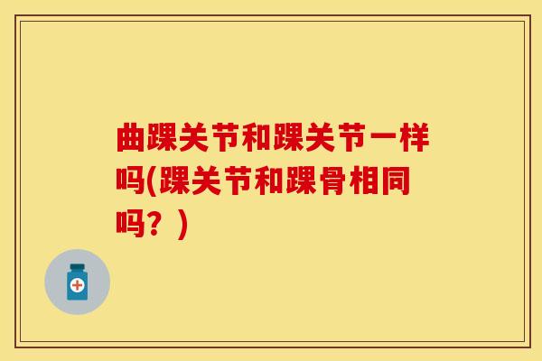 曲踝关节和踝关节一样吗(踝关节和踝骨相同吗？)-第1张图片-关节保镖