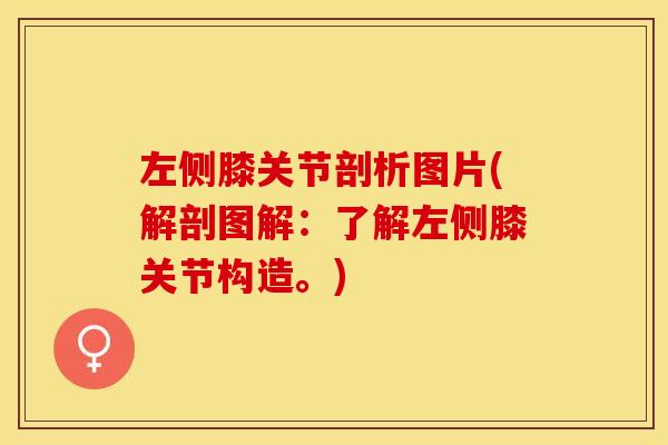 左侧膝关节剖析图片(解剖图解：了解左侧膝关节构造。)-第1张图片-关节保镖