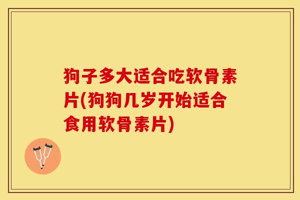 狗子多大适合吃软骨素片(狗狗几岁开始适合食用软骨素片)-第1张图片-关节保镖