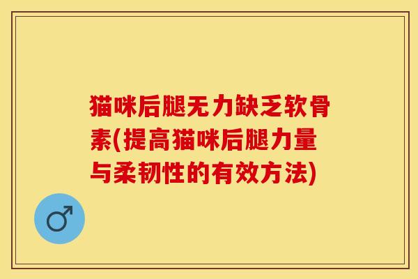 猫咪后腿无力缺乏软骨素(提高猫咪后腿力量与柔韧性的有效方法)-第1张图片-关节保镖