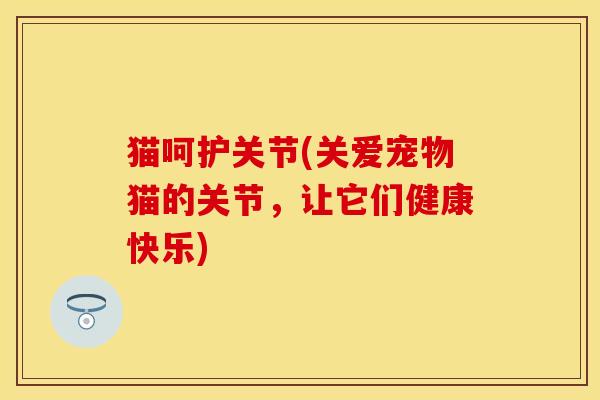 猫呵护关节(关爱宠物猫的关节，让它们健康快乐)-第1张图片-关节保镖