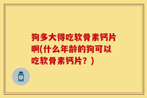 狗多大得吃软骨素钙片啊(什么年龄的狗可以吃软骨素钙片？)-第1张图片-关节保镖