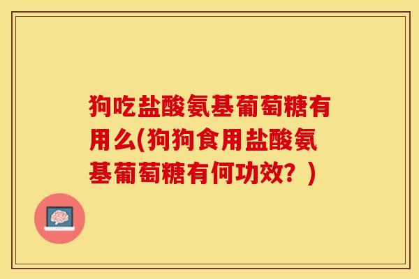 狗吃盐酸氨基葡萄糖有用么(狗狗食用盐酸氨基葡萄糖有何功效？)-第1张图片-关节保镖