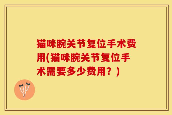猫咪腕关节复位手术费用(猫咪腕关节复位手术需要多少费用？)-第1张图片-关节保镖