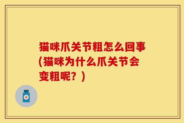 猫咪爪关节粗怎么回事(猫咪为什么爪关节会变粗呢？)-第1张图片-关节保镖
