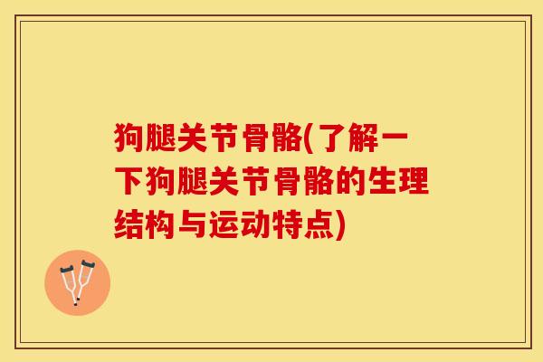 狗腿关节骨骼(了解一下狗腿关节骨骼的生理结构与运动特点)-第1张图片-关节保镖