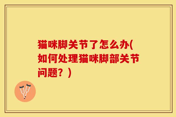 猫咪脚关节了怎么办(如何处理猫咪脚部关节问题？)-第1张图片-关节保镖