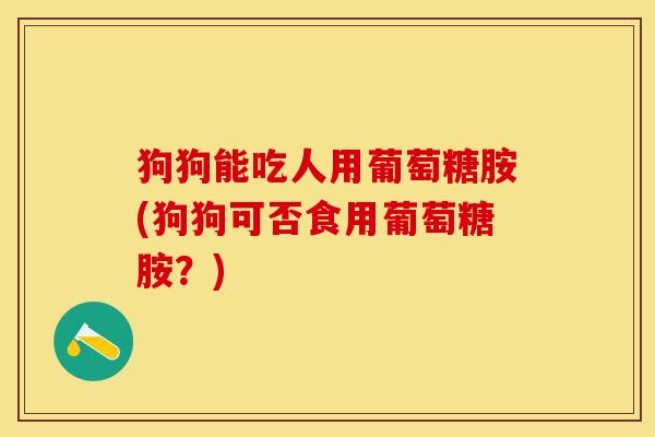 狗狗能吃人用葡萄糖胺(狗狗可否食用葡萄糖胺？)-第1张图片-关节保镖