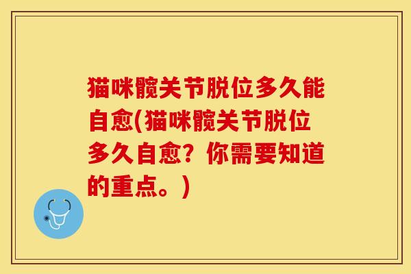 猫咪髋关节脱位多久能自愈(猫咪髋关节脱位多久自愈？你需要知道的重点。)-第1张图片-关节保镖