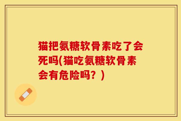 猫把氨糖软骨素吃了会死吗(猫吃氨糖软骨素会有危险吗？)-第1张图片-关节保镖
