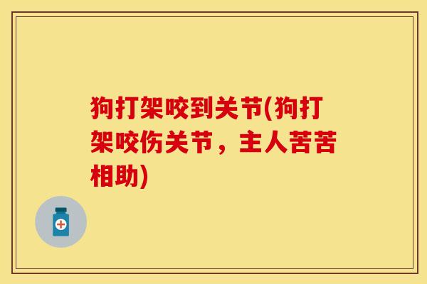 狗打架咬到关节(狗打架咬伤关节，主人苦苦相助)-第1张图片-关节保镖