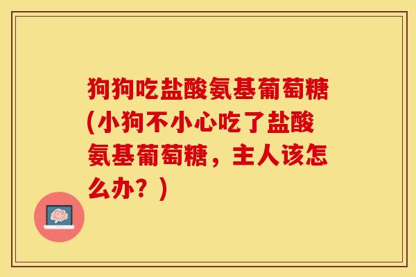 狗狗吃盐酸氨基葡萄糖(小狗不小心吃了盐酸氨基葡萄糖，主人该怎么办？)-第1张图片-关节保镖