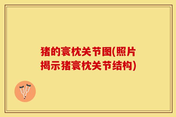 猪的寰枕关节图(照片揭示猪寰枕关节结构)-第1张图片-关节保镖