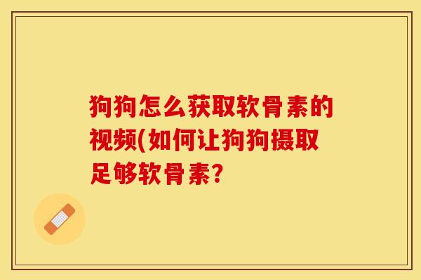狗狗怎么获取软骨素的视频(如何让狗狗摄取足够软骨素？-第1张图片-关节保镖