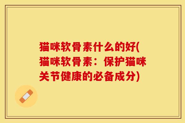猫咪软骨素什么的好(猫咪软骨素：保护猫咪关节健康的必备成分)-第1张图片-关节保镖