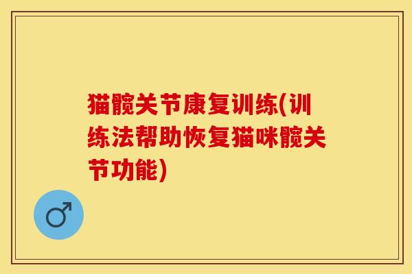 猫髋关节康复训练(训练法帮助恢复猫咪髋关节功能)-第1张图片-关节保镖