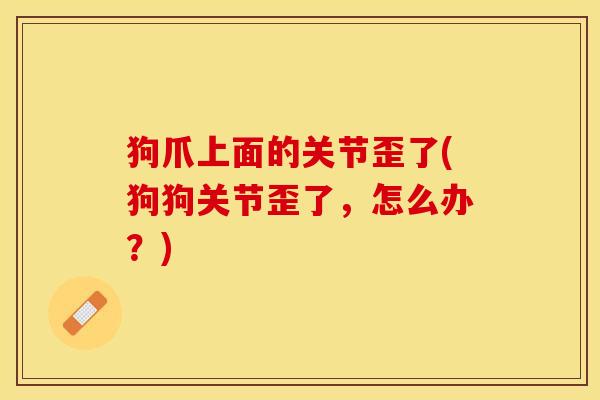 狗爪上面的关节歪了(狗狗关节歪了，怎么办？)-第1张图片-关节保镖