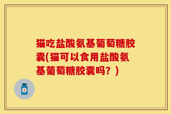 猫吃盐酸氨基葡萄糖胶囊(猫可以食用盐酸氨基葡萄糖胶囊吗？)-第1张图片-关节保镖