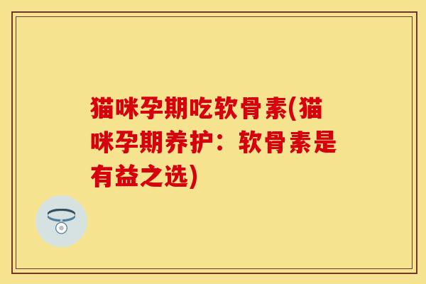 猫咪孕期吃软骨素(猫咪孕期养护：软骨素是有益之选)-第1张图片-关节保镖