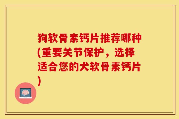 狗软骨素钙片推荐哪种(重要关节保护，选择适合您的犬软骨素钙片)-第1张图片-关节保镖