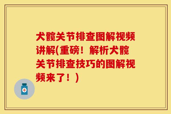 犬髋关节排查图解视频讲解(重磅！解析犬髋关节排查技巧的图解视频来了！)-第1张图片-关节保镖