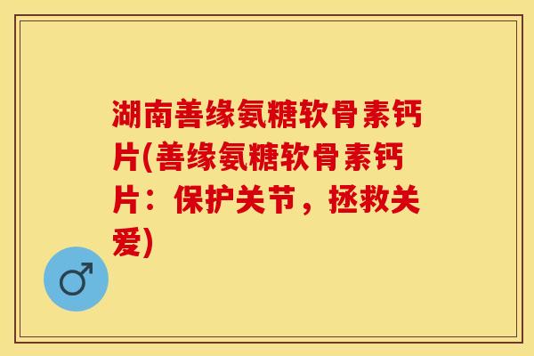 湖南善缘氨糖软骨素钙片(善缘氨糖软骨素钙片：保护关节，拯救关爱)-第1张图片-关节保镖
