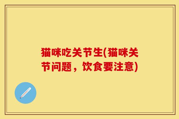 猫咪吃关节生(猫咪关节问题，饮食要注意)-第1张图片-关节保镖