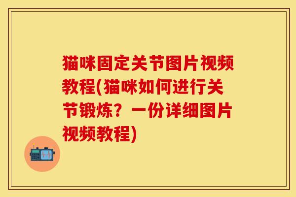 猫咪固定关节图片视频教程(猫咪如何进行关节锻炼？一份详细图片视频教程)-第1张图片-关节保镖