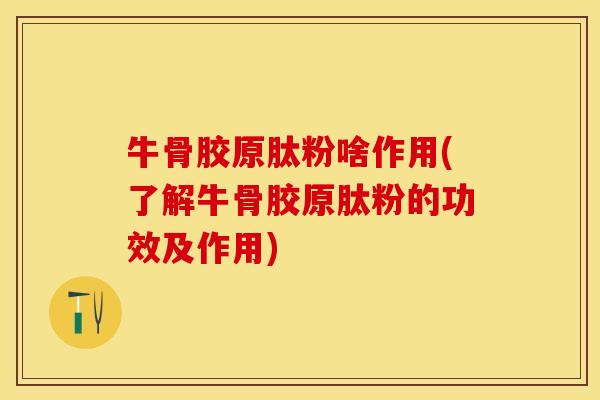 牛骨胶原肽粉啥作用(了解牛骨胶原肽粉的功效及作用)-第1张图片-关节保镖